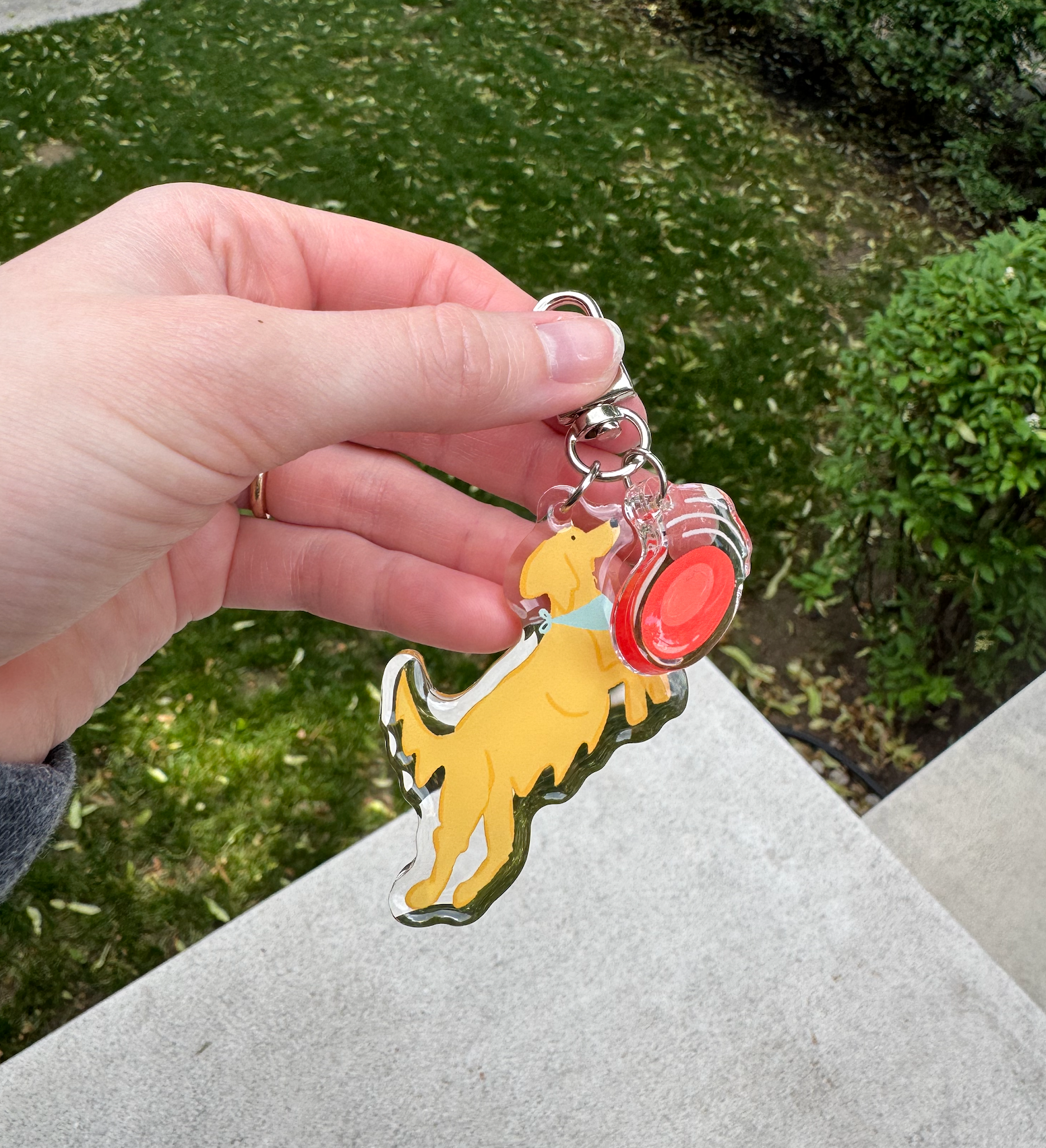 Golden Retriever Double Charm
