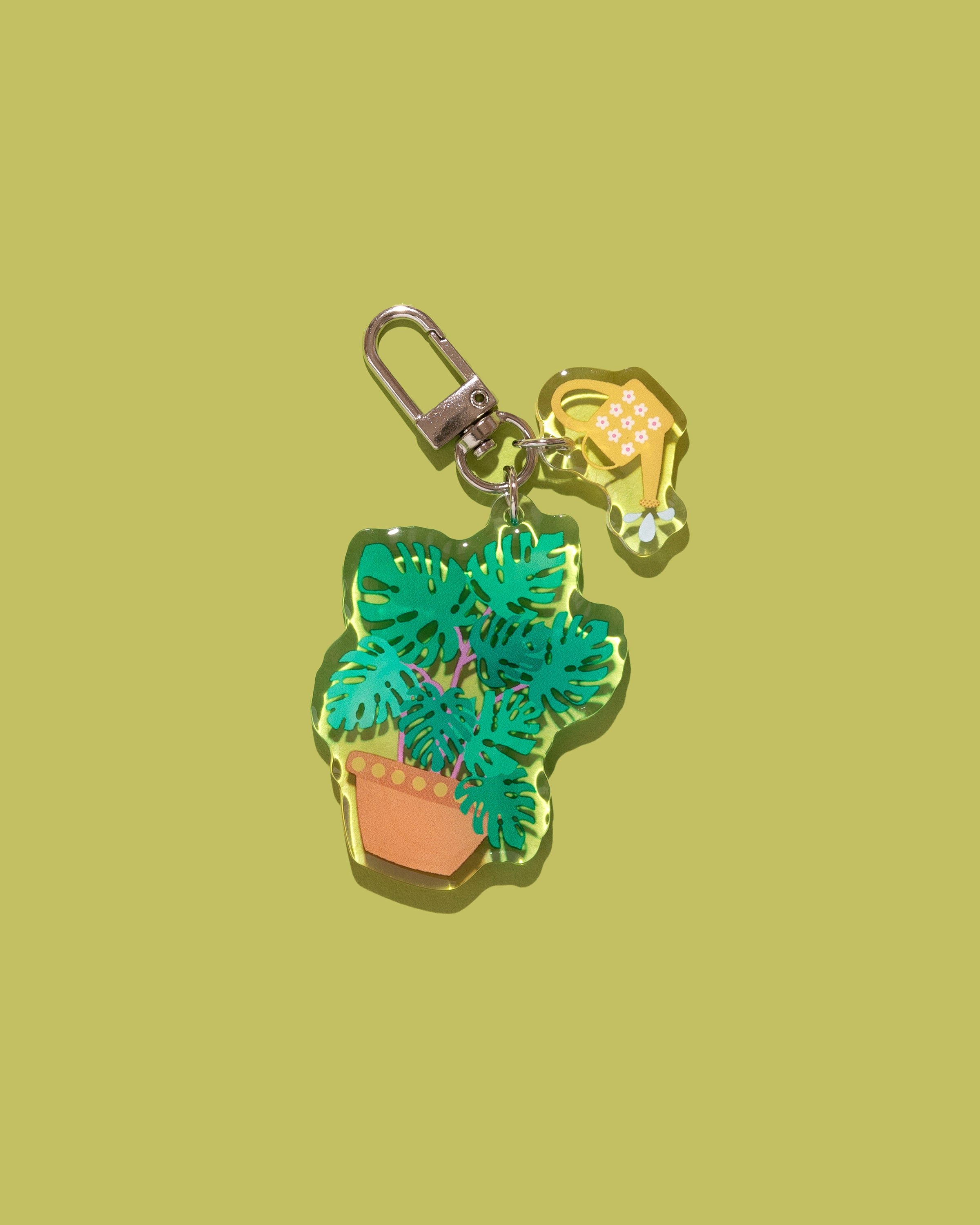 Monstera Double Charm
