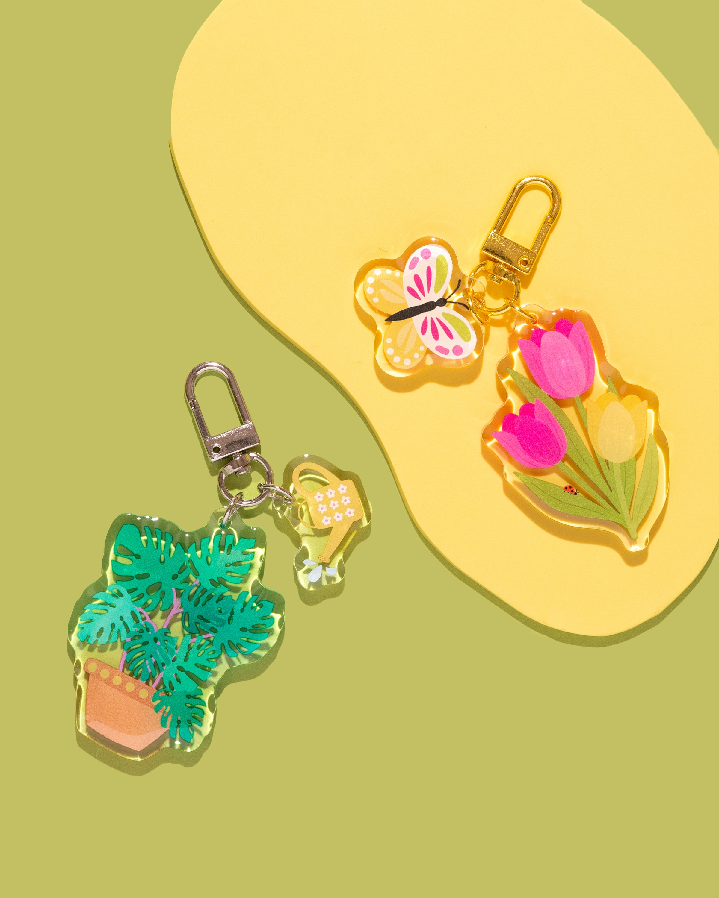 Monstera Double Charm