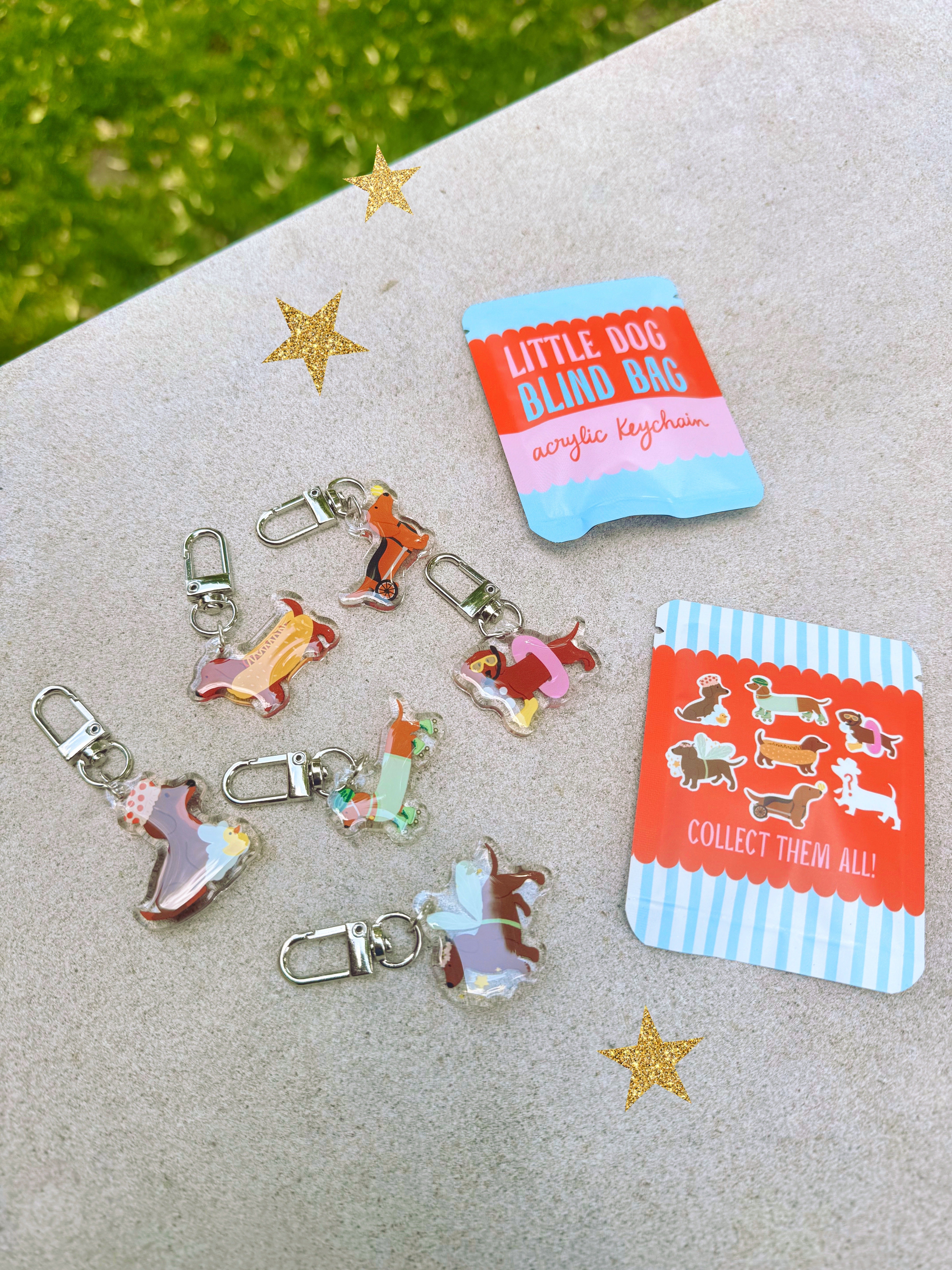 KEYCHAIN BILIND BAG
