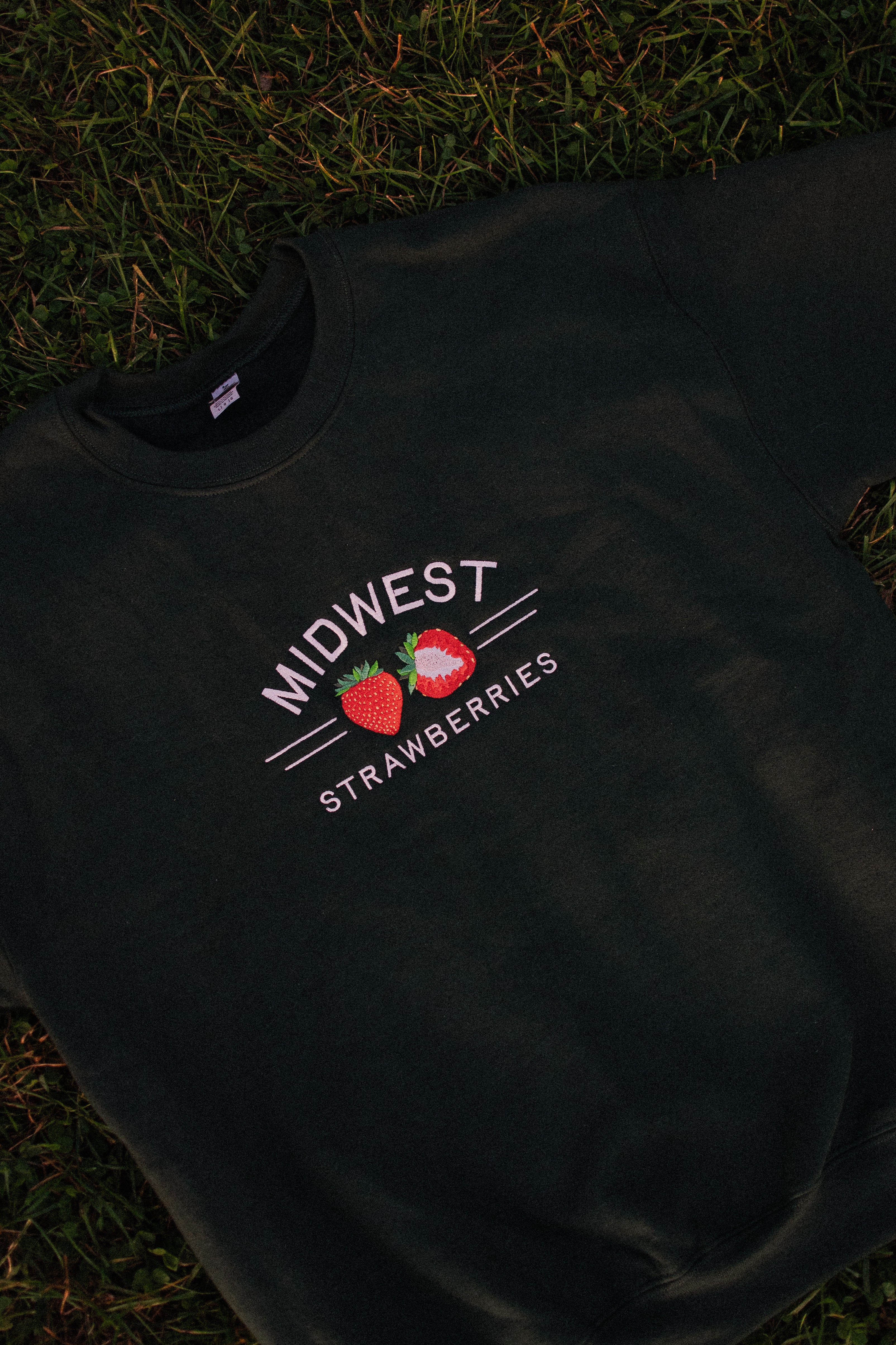 Midwest Strawberries Crewneck