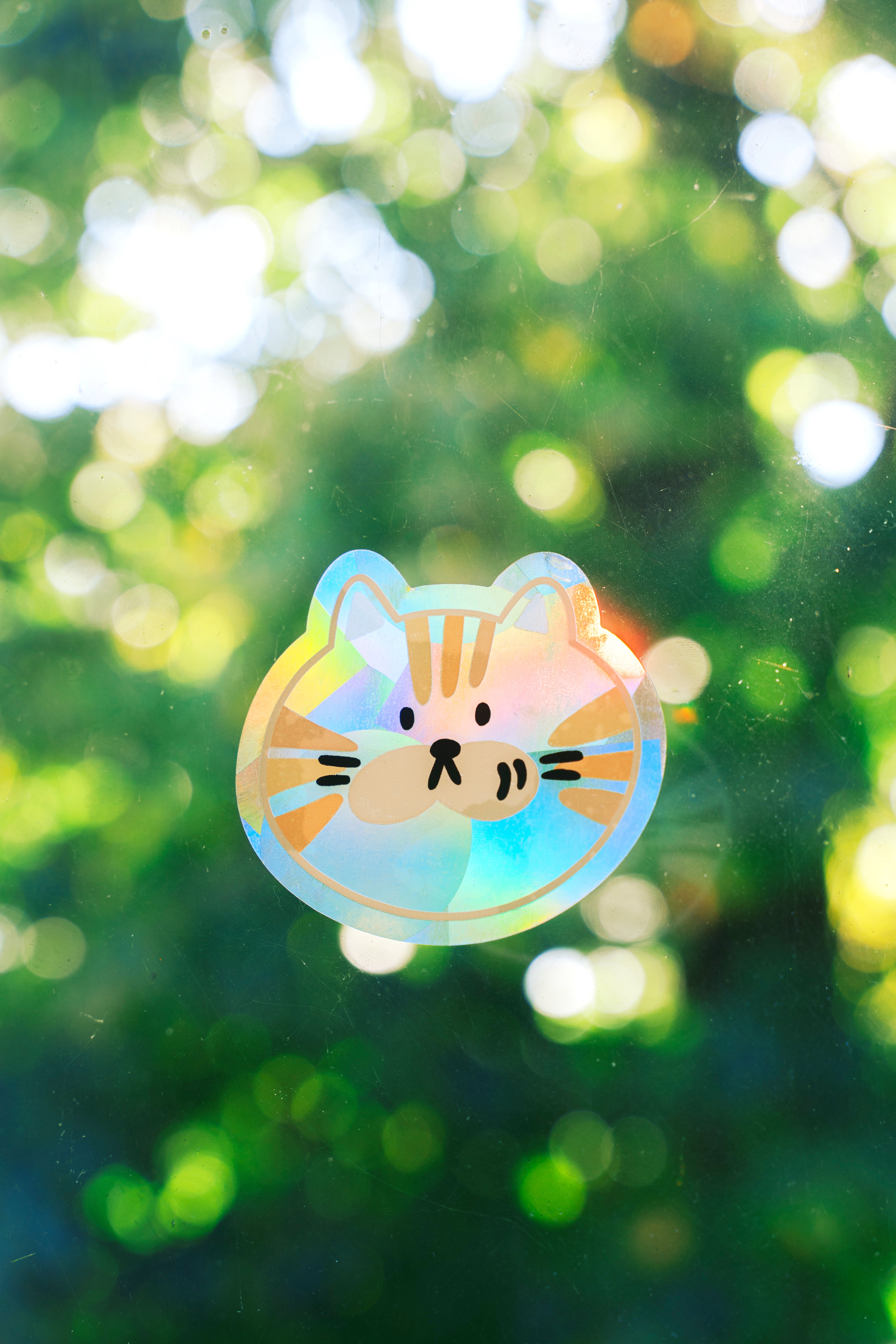 Cat Suncatcher Sticker – Prismatic Window Cling | Rainbow Maker Prism Decal