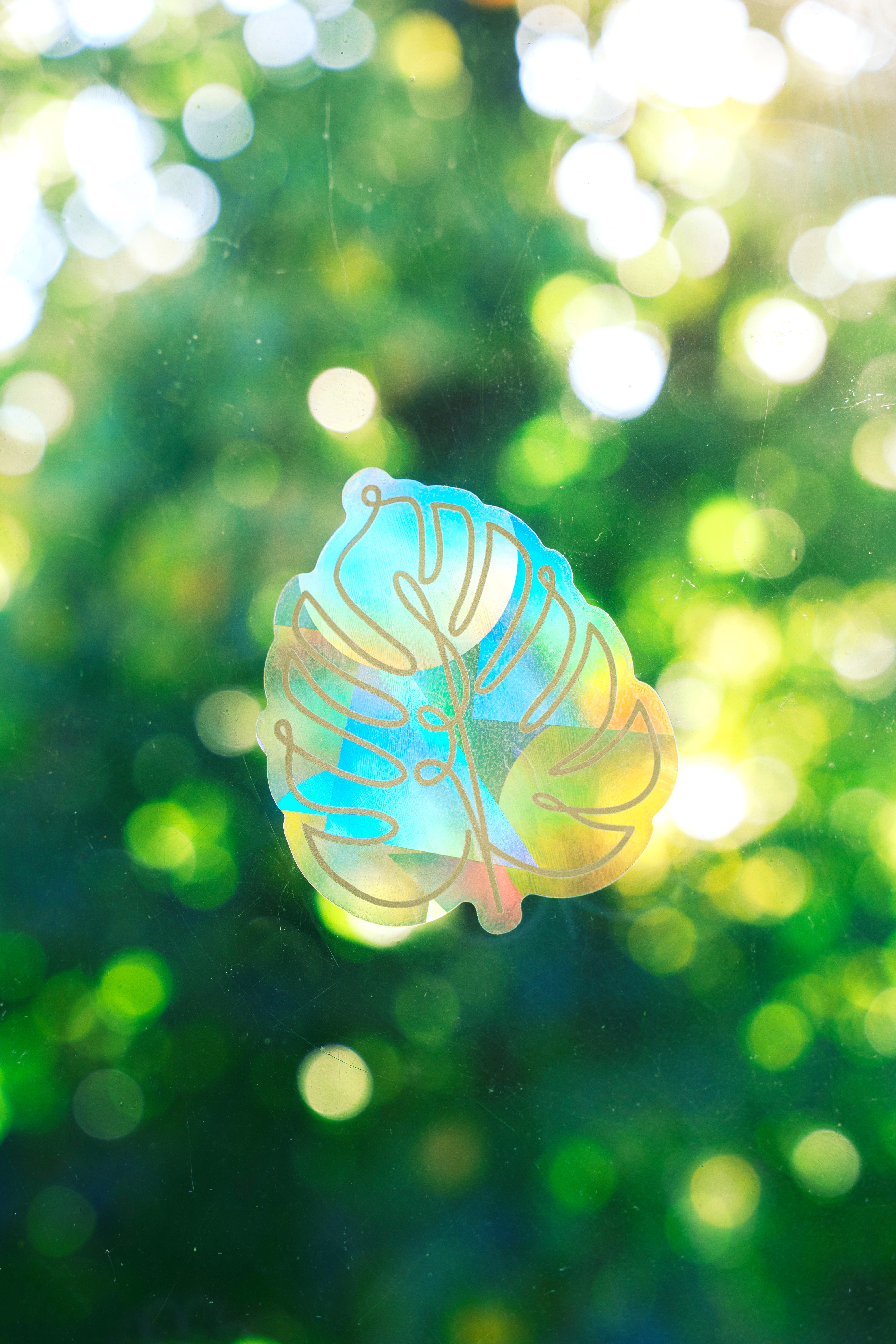 Monstera Leaf Suncatcher Sticker – Prismatic Window Cling | Rainbow Maker Prism Decal