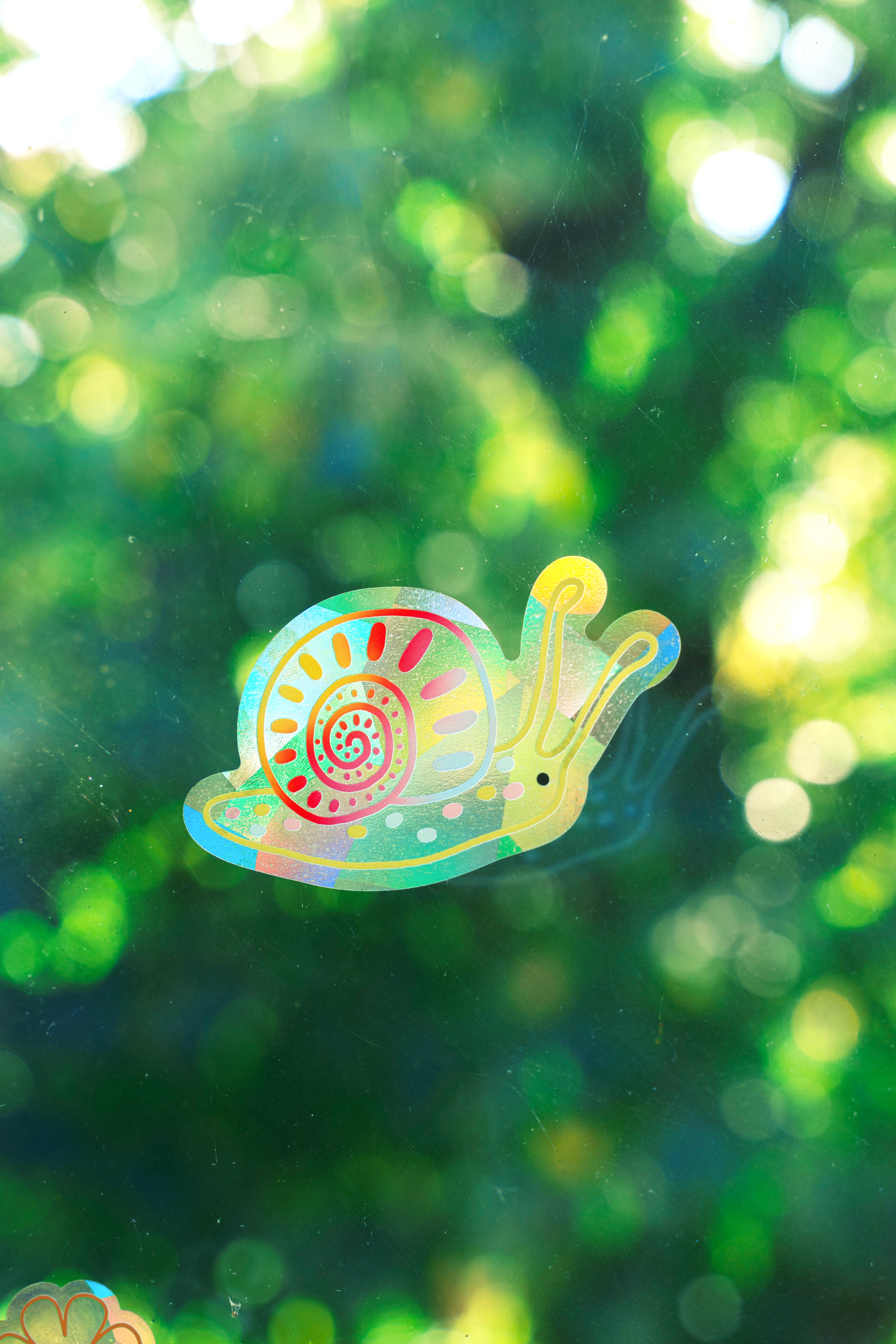 Rainbow Snail Suncatcher Sticker – Prismatic Window Cling | Rainbow Maker Prism Decal