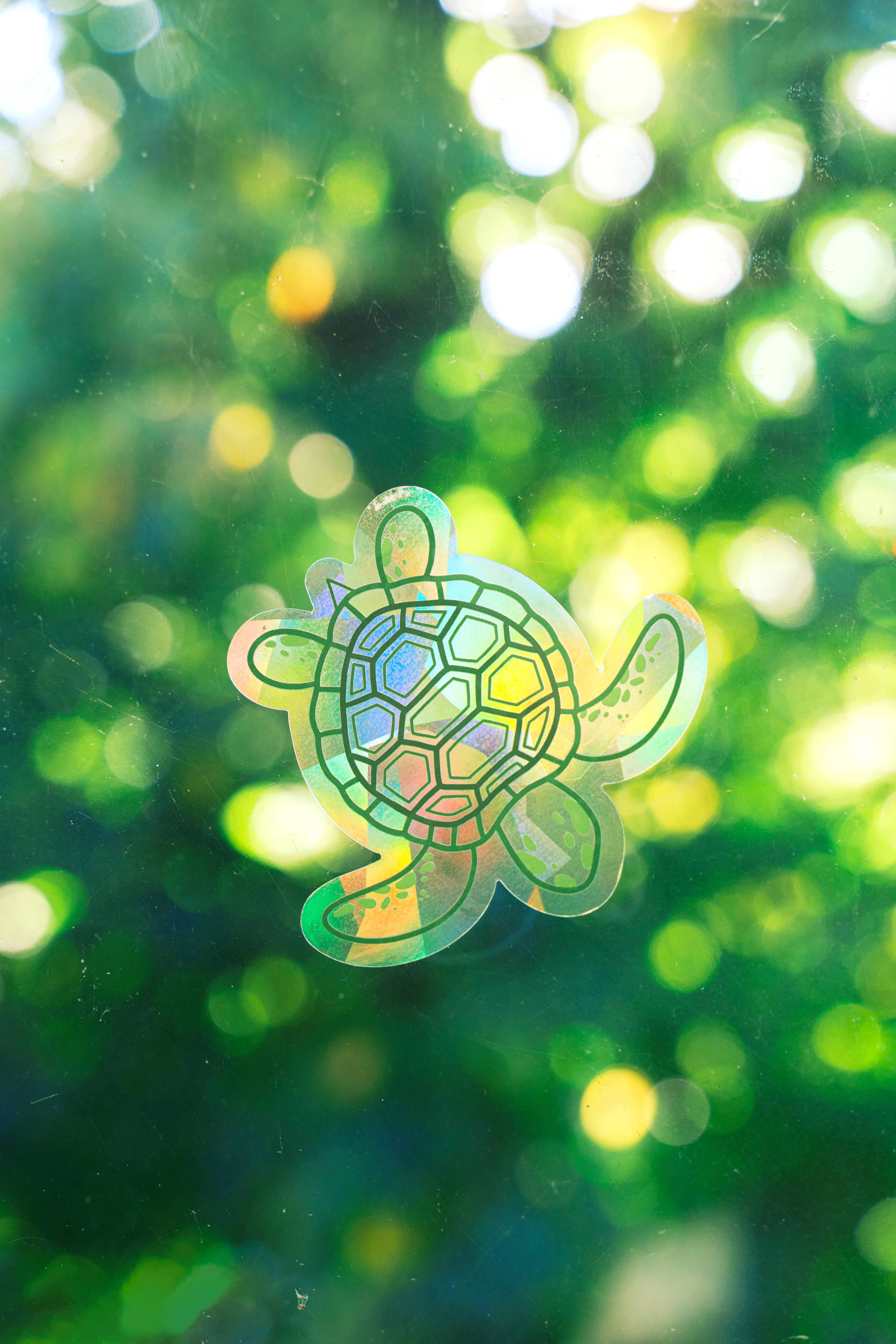 Sea Turtle Suncatcher Sticker – Prismatic Window Cling | Rainbow Maker Prism Decal