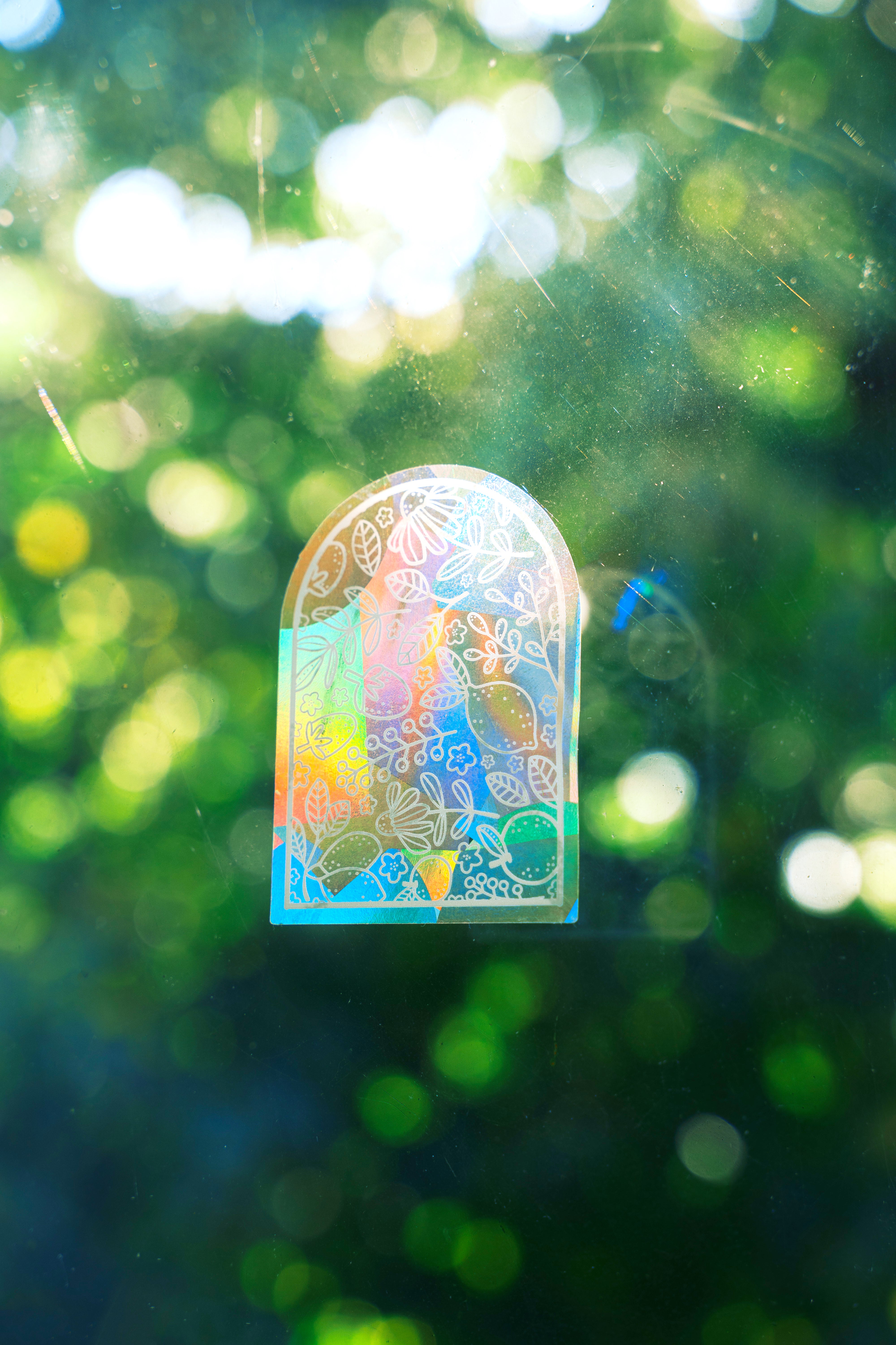 White Floral Frame Suncatcher Sticker – Prismatic Window Cling | Rainbow Maker Decal